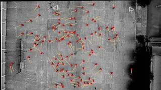Image via ZME Science