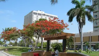 Image via Rio Times
