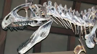 Image via Interesting Engineering