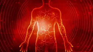 Image via SciTechDaily