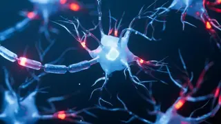 Image via SciTechDaily