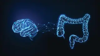Image via ScienceDaily