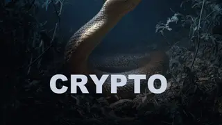 Image via Crypto Integrated