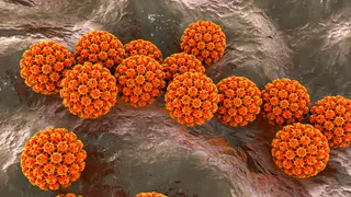 Image via Live Science