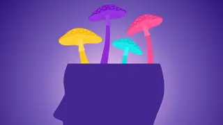 Image via Live Science