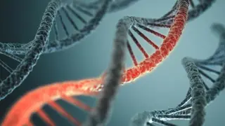 Image via SciTechDaily