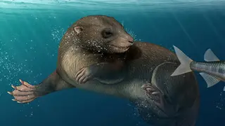 Image via Sci.News