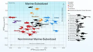 Image via Sci.News