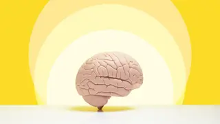 Image via Scientific American