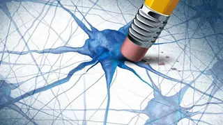Image via SciTechDaily