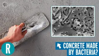 Image via Interesting Engineering