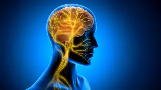 Image via ScienceDaily