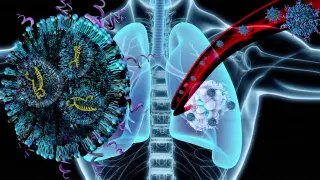 Image via ScienceDaily