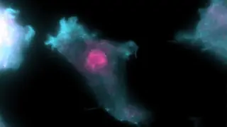 Image via Science News
