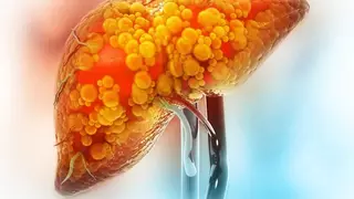 Image via SciTechDaily