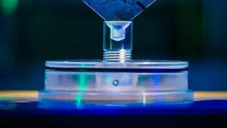 Image via SciTechDaily