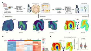 Image via Sci.News