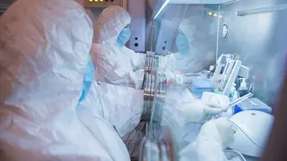 Image via New Scientist