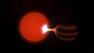 Image via Scientific American