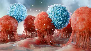 Image via ScienceDaily