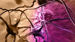 Image via SciTechDaily