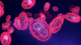 Image via Live Science