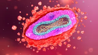 Image via Live Science