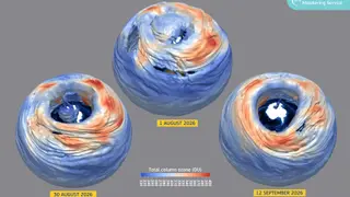 Image via Live Science