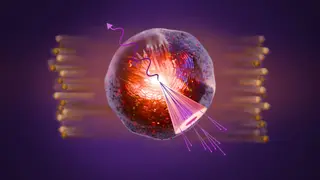 Image via Live Science