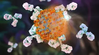 Image via MedPage Today