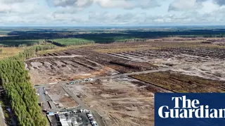 Image via The Guardian