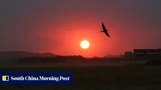 Image via South China Morning Post