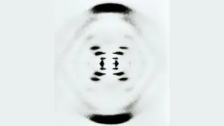 Image via Live Science