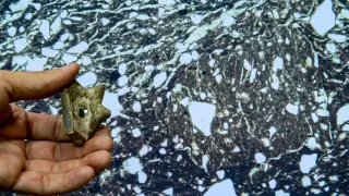 Image via ScienceDaily