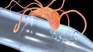 Image via SciTechDaily