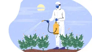 Image via National Law Review / Ogletree Decon