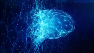 Image via Scientific American