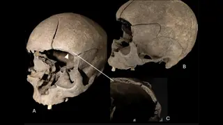 Image via Live Science