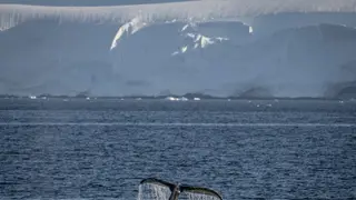 Image via Inside Climate News