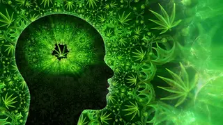 Image via Scientific American