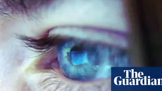 Image via The Guardian