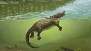 Image via Live Science