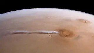 Image via Live Science