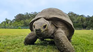 Image via New Scientist