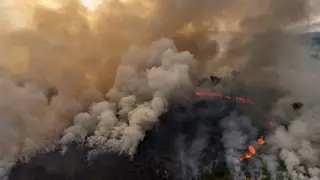 Image via Inside Climate News