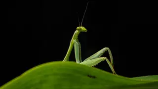 Image via Live Science