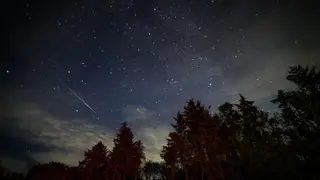 Image via Live Science