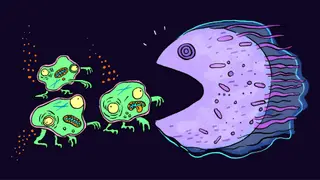 Image via Live Science
