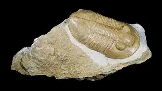 Image via SciTechDaily
