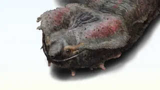 Image via Sci.News